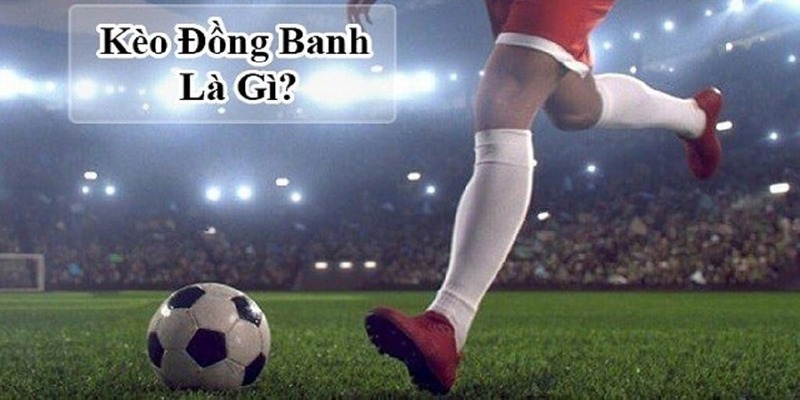 Kèo Đồng Banh Là Gì? Cách Đọc Kèo Và Mẹo Chốt Cược Cực Hay 5 Định nghĩa chung về kèo đồng banh